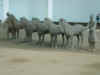 China Trip - TiaYuan & Xian 091.jpg (274761 bytes)
