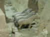 China Trip - TiaYuan & Xian 098.jpg (291130 bytes)