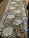 Walkway4.JPG (252768 bytes)
